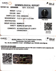 5.74/CT Natural Scapolite Cat's Eye with Govt. Lab Certified-(1221)